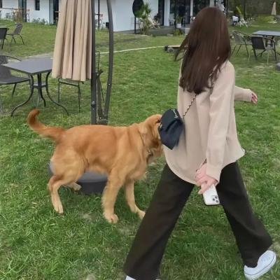 牙狼:黄金风暴 翔